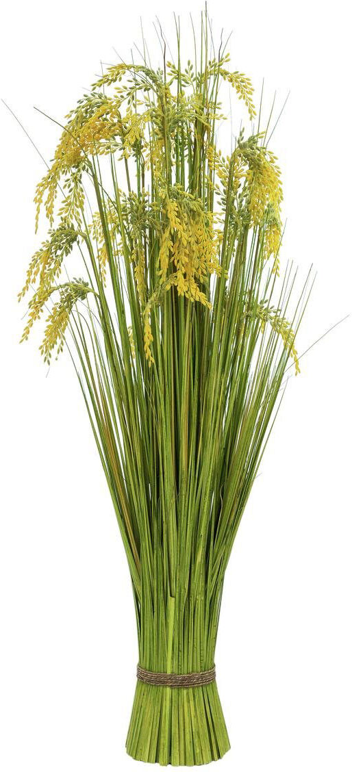 Europalms Schilfgrasbündel 118cm