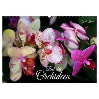 Beliebte Orchideen (Wandkalender 2027 DIN A2 quer), CALVENDO Monatskalender