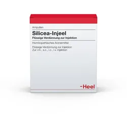 Silicea Injeel Ampullen 100 St
