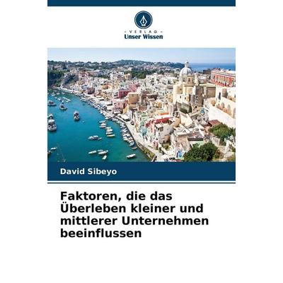 Faktoren, die das Überleben kleiner und mittlerer Unternehmen beeinflussen, Taschenbuch von David Sibeyo, Verlag Unser Wissen, 978-620-9-49966-1