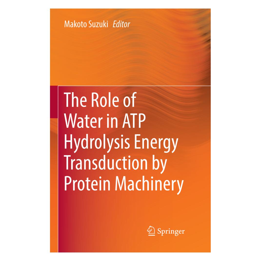 Springer The Role of Water in ATP Hydrolysis Energy Transduction by Protein Machinery (Englisch, Softcover, Makoto Suzuki) (56081983)