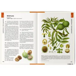 Dr. Tackenberg:Was wir essen, Ratgeber von Oliver, Tackenberg, Oliver (Dr.) Tackenberg, Oliver Tackenberg
