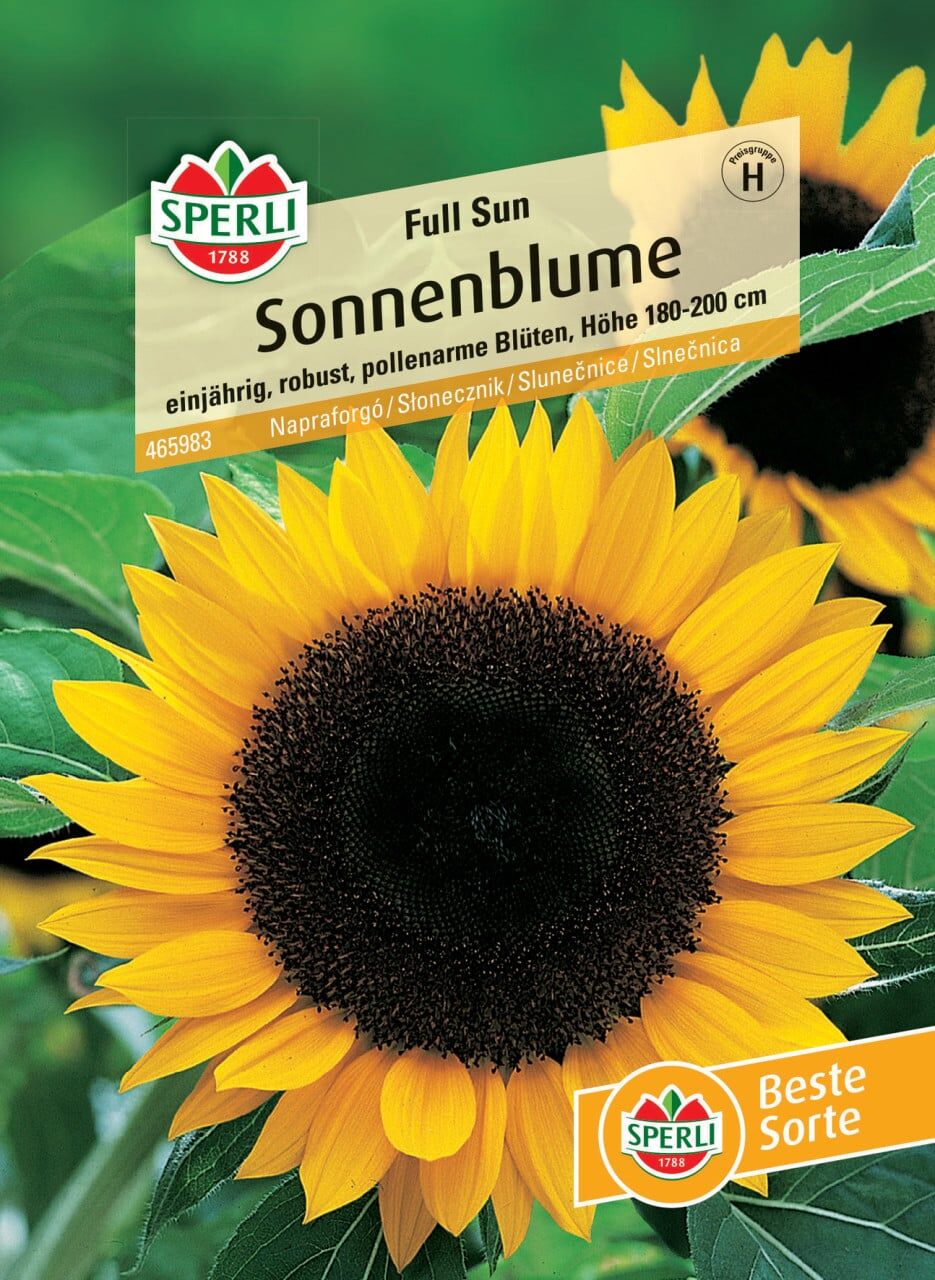 Sperli Sonnenblume Full Sun F1