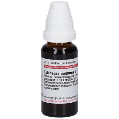 Echinacea Purpurea Urtinktur 20 ml Dilution