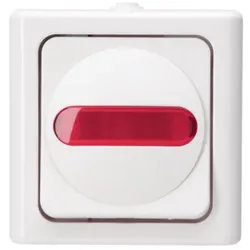 Kopp 561602008 Kontrollschalter AP-FR beleuchtet SF10AX 250V IP44 Blueelectric arktis