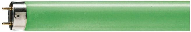 Philips Lampe fluorescente TL-D 36W/17 verte 36W (64300140)
