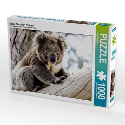 CALVENDO Puzzle Koala im Eukalyptusbaum | 1000 Teile Lege-Größe 64x48cm Foto-Puzzle für glückliche Stunden