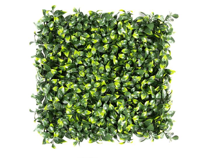 Kunstpflanze Pflanzenwand, 50x50cm , grün (ilex, grün), B:50cm H:50cm, Kunststoff, PRIMAFLOR-IDEEN IN TEXTIL, Kunstpflanzen, Kunstpflanze, Wanddeko, realistische Optik, In- und Outdoor geeignet, UV-beständig