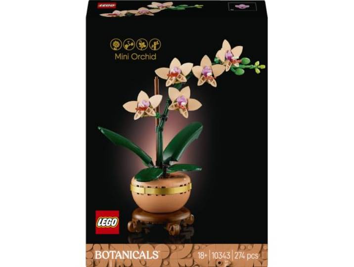 LEGO Botanicals Mini-Orchidee 10343 Bausatz für Erwachsene, Set mit Kunstblumen, Zimmerpflanze mit Blumentopf im Terrakotta-Stil, DIY Geschenkidee, 274 Teile