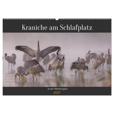 Kraniche am Schlafplatz in der Müritzregion (Wandkalender 2027 DIN A2 quer), CALVENDO Monatskalender