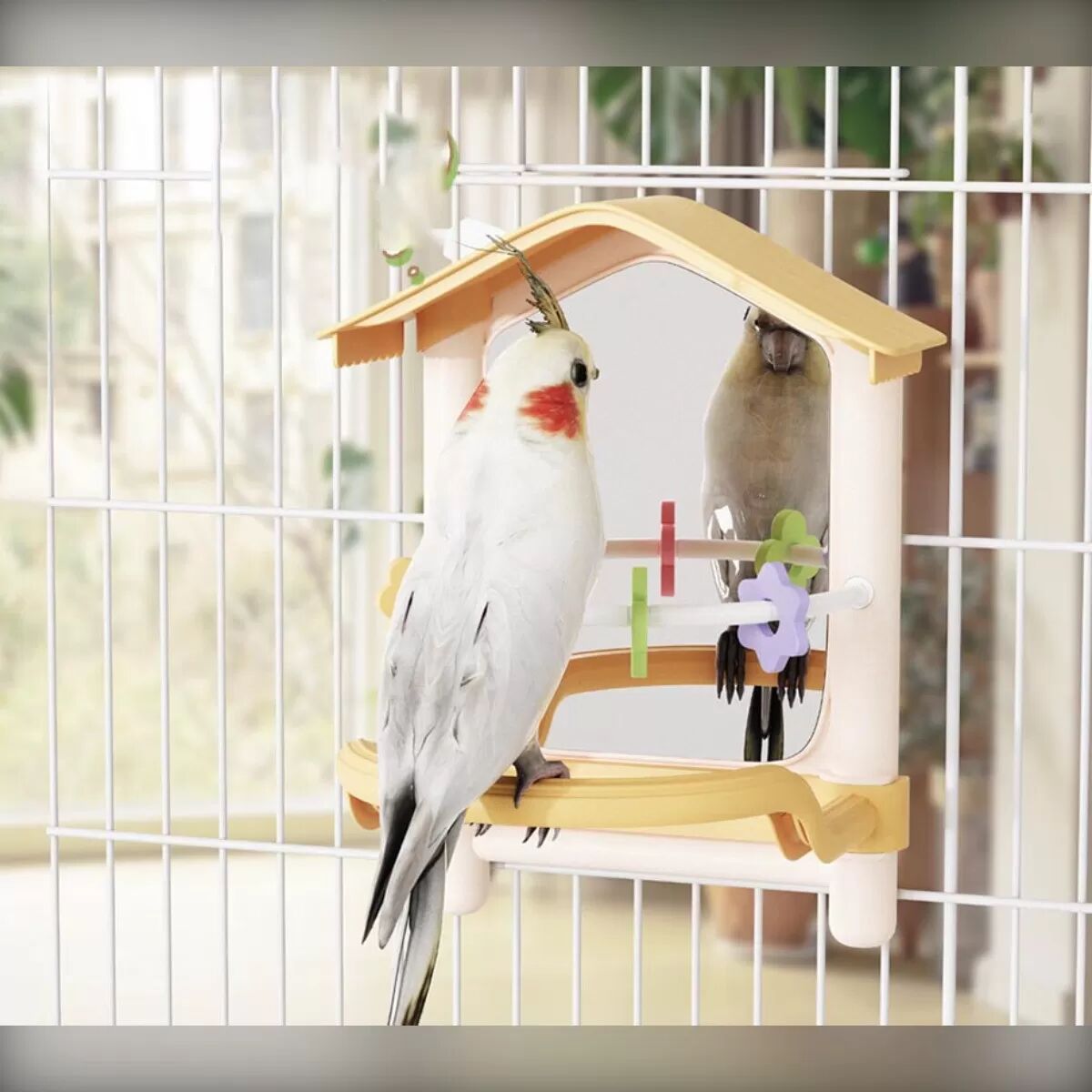 INF Papageienkäfig Spiegel Hängende Dekoration - Super Klar, Hohe Ästhetik, Intellektuelles Spaß Vogelspielzeug Rosa