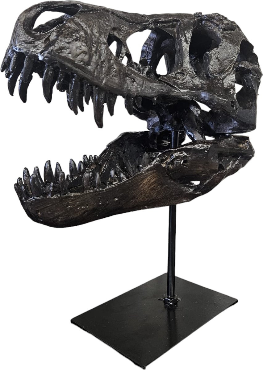 GreatGift T-Rex Schedel XXL op Metalen Standaard - Tyrannosaurus Rex Replica - Dinosaurus Fossiel Decoratie - 30 x 25 cm