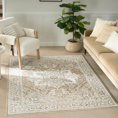 Nourison Dekor Indoor only Persian Area Rug