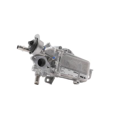 MAHLE AGR Kühler OPEL,RENAULT,FIAT CE 49 000P 6000616785,147357086R Abgaskühler,Abgasrückführungskühler,Kühler Abgasrückführung