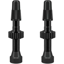 WTB TCS Presta Ventil Set Aluminium 2 Stk. | 46 mm schwarz