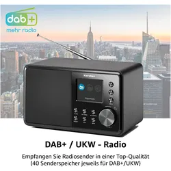 Karcher DAB 3000 (DAB+, FM), Radio, Schwarz
