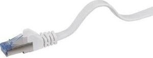Renkforce RF-4149852 RJ45 patchkabel CAT 6a U/FTP, 15 meter, grijs