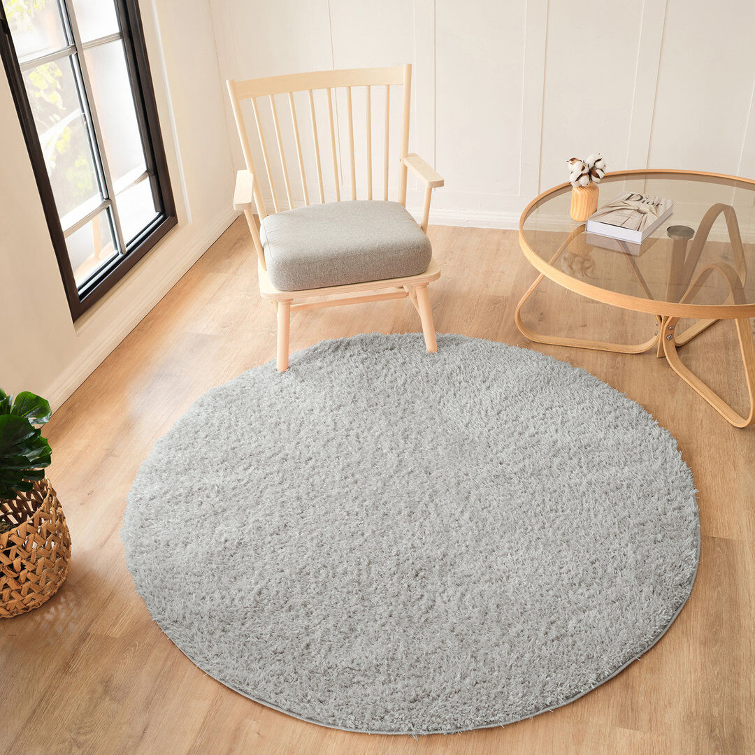 Brayden Studio Arzan Solid Colour Area Rug Gray Round 160cm