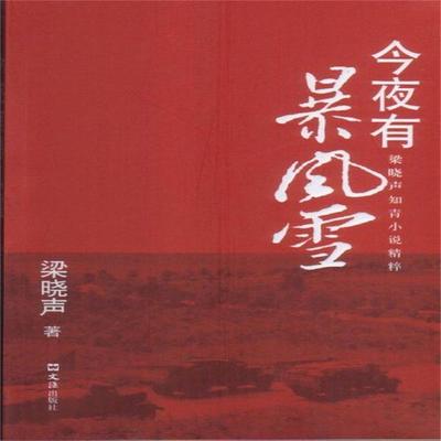 今夜有暴风雪 - 梁晓声, Audio, 4099995941753