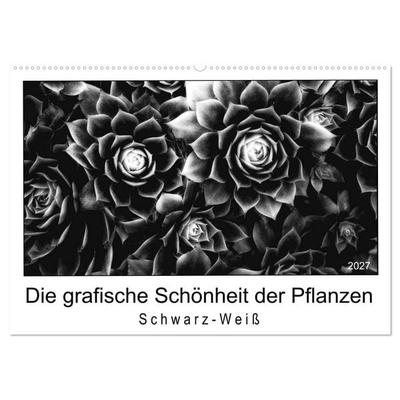 Die grafische Schönheit der Pflanzen – Schwarz-Weiß (Wandkalender 2027 DIN A2 quer), CALVENDO Monatskalender