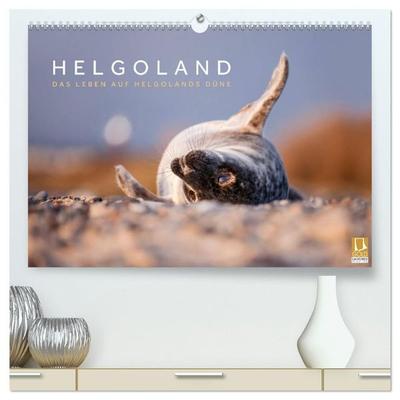 Helgoland - Das Leben auf der Düne Helgolands (hochwertiger Premium Wandkalender 2027 DIN A2 quer), Kunstdruck in Hochglanz