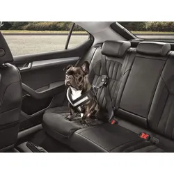 Skoda Hundeschutzgurt Größe M - mittelgroße Hunde 000019409B