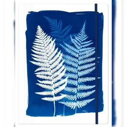 Clairefontaine 4x Cyanotypie, Sammelmappe mit Gummizugverschluss 24x32cm - 83512C