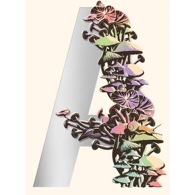 Ambergris, Gebundene Ausgabe von Jeff VanderMeer, Farrar, Straus and Giroux, 978-0-374-10317-0