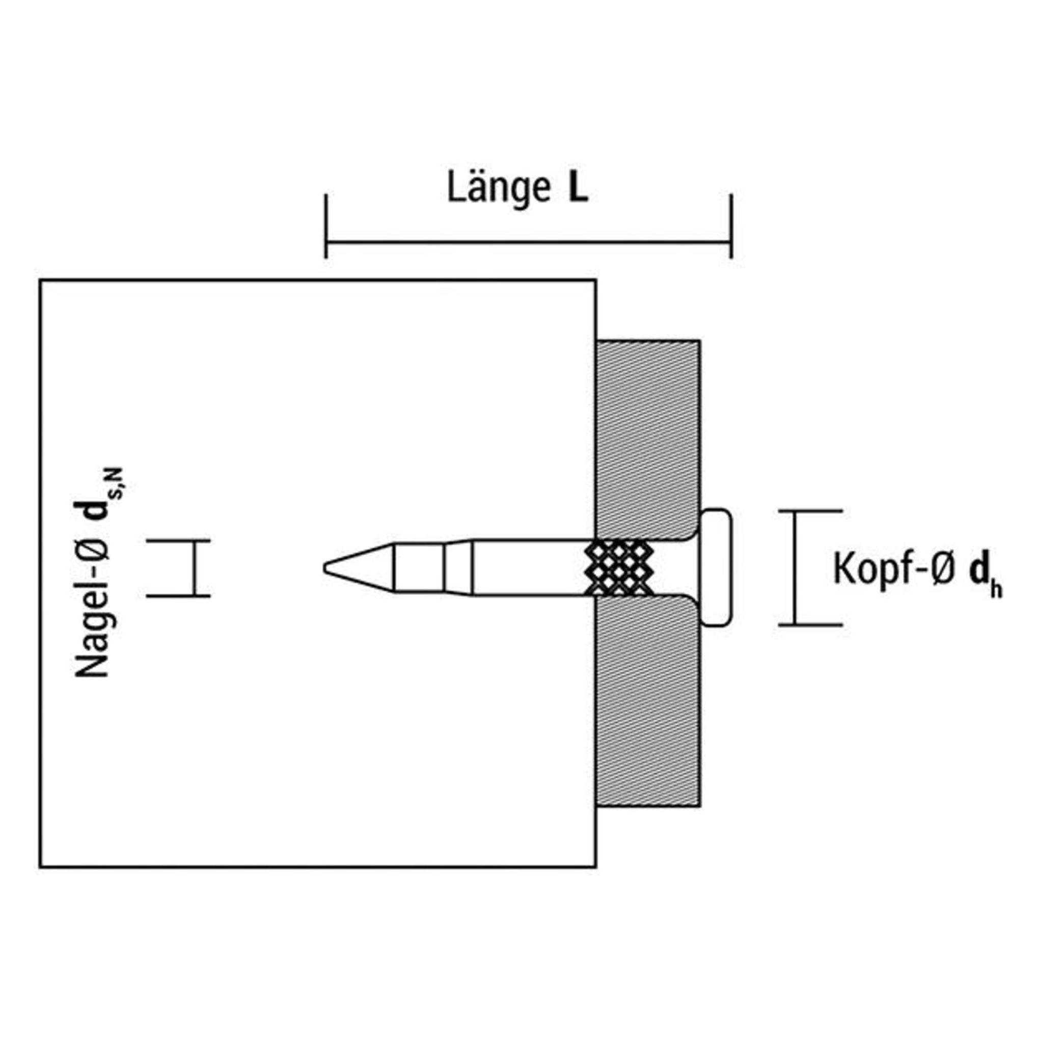Celo XHA 3x32 für FORCE ONE (8421814558549)