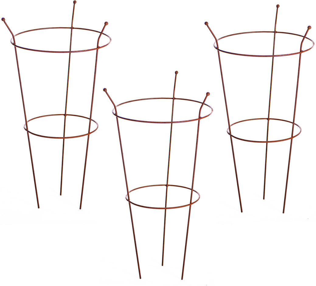 Dakota Fields Plant Stand Rust 63cm H x 40cm W x 40cm D