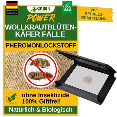 Green Guardia Wollkrautblütenkäfer Falle mit Pheromon-Lockstoff: 10
