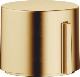 Dornbracht actionneur excentrique 10712970-28 avec bouton rotatif sans rosette, laiton poli