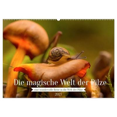 Die magische Welt der Pilze (Wandkalender 2027 DIN A2 quer), CALVENDO Monatskalender