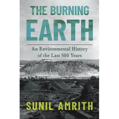 The Burning Earth, Taschenbuch von Sunil Amrith, Norton & Company, 978-1-324-11127-6