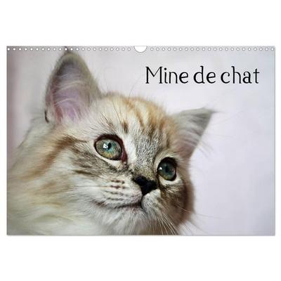 Mine de chat (Calendrier mural 2027 DIN A3 vertical), CALVENDO calendrier mensuel