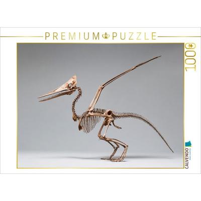 CALVENDO Puzzle Pteranodon-Skelett mit Flügelspannweite und Kammprofil | 1000 Teile Lege-Größe 64x48cm Foto-Puzzle für glückliche Stunden
