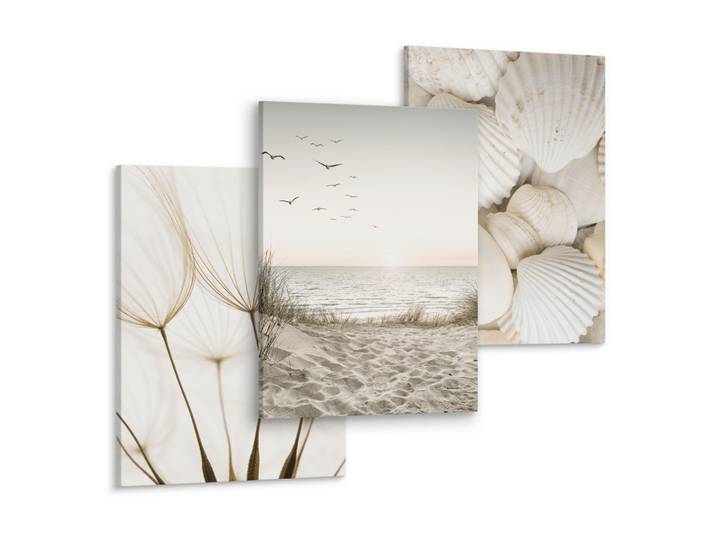 LEINWANDBILDER 3-er Set Strand Muscheln