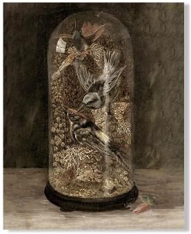 Inspire Essentials Vintage Owl Wall Art Dark Academia Canvas Cottagecore Nature Decor 7 20x25 Cm No Frame