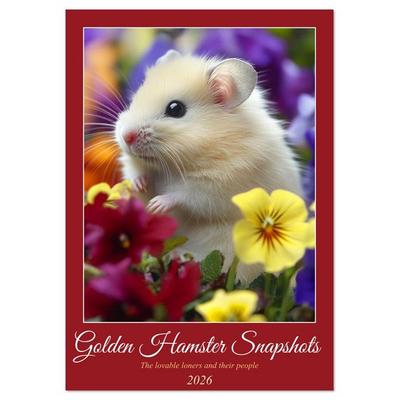Golden Hamster Snapshots (Desk Calendar 2026 DIN A5 portrait), CALVENDO 12 Month DeskCalendar