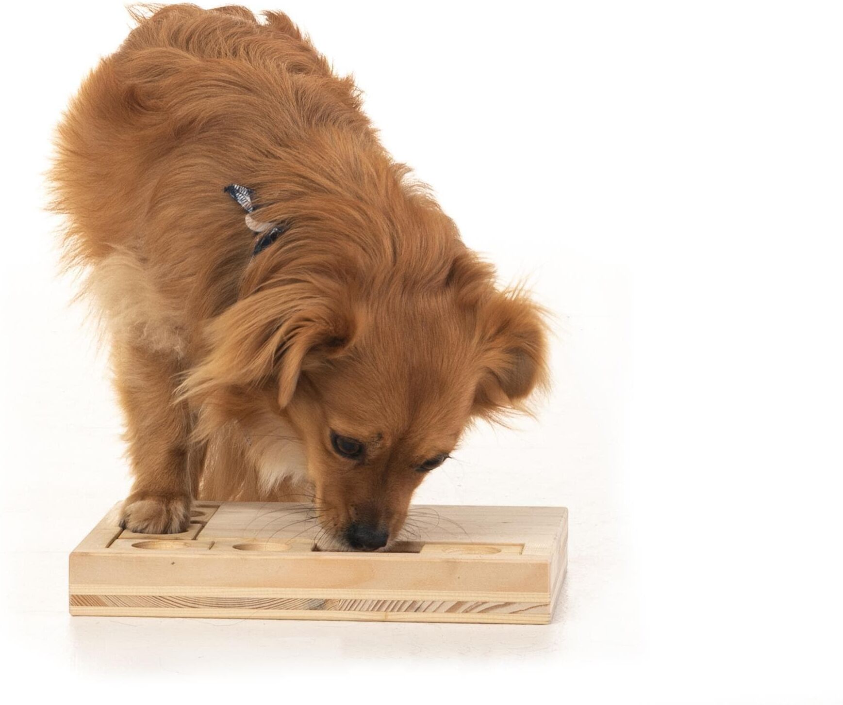 Tier-Intelligenzspielzeug "Hundespiele.ch Schiebeklotz mittelschwer", braun, B:28,5cm H:3,5cm T:22,7cm, Holz, Tierspielzeuge, Tier-Intelligenzspielzeug, Holzart: FichteHerkunftsland: Schweiz, Südeuropa braun Einheitsgröße
