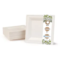 BIOZOYG 50 Stück Einwegteller quadratisch 26x26cm Bio Geschirr Zuckerrohr Teller stabil biologisch abbaubar kompostierbar Bagasse Einwegteller