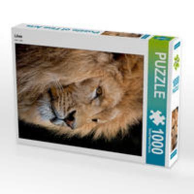 CALVENDO Puzzle Löwe 1000 Teile Lege-Größe 480 x 640 cm Foto-Puzzle Bild von Peter Roder