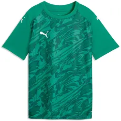 PUMA teamFINAL 26 Graphic Trikot Kinder 05 - sport green/puma white/power green 176