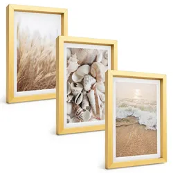BILDER SET 3er Set - 20x30 cm Goldrahmen - Strandmotive, Muscheln, Wellen