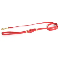 Martin Sellier Carla (12, Hund, Spazieren), Halsband + Leine