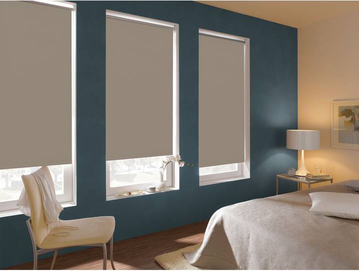 Rollo GARDINIA Seitenzugrollo Thermo energiesparend , grau (taupe), B:122cm H:160cm, Polyester, Rollos, Rollo, Schrauben, Thermo Rückseite