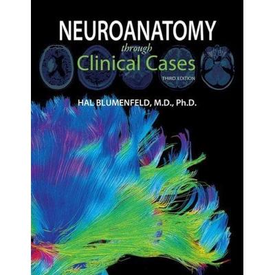 Neuroanatomy through Clinical Cases, Taschenbuch von Hal Blumenfeld, Oxford University Press, 978-1-60535-962-5