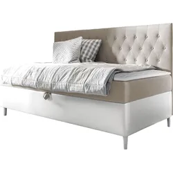 BOXBETT Filip Junior 2 - H3