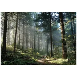 VLIESTAPETE Wald 3D Effekt Natur Schlafzimmer 250x175