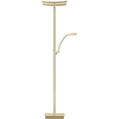 LED Stehlampe "ANDY", gold (champagnerfarben eloxiert), 3, H: 185cm, 1 Stk.,mit Lesearm, HELL HÖLLISCH GUTES LICHT, Leuchten, Tastdimmer, CCT, LED Stehlampe